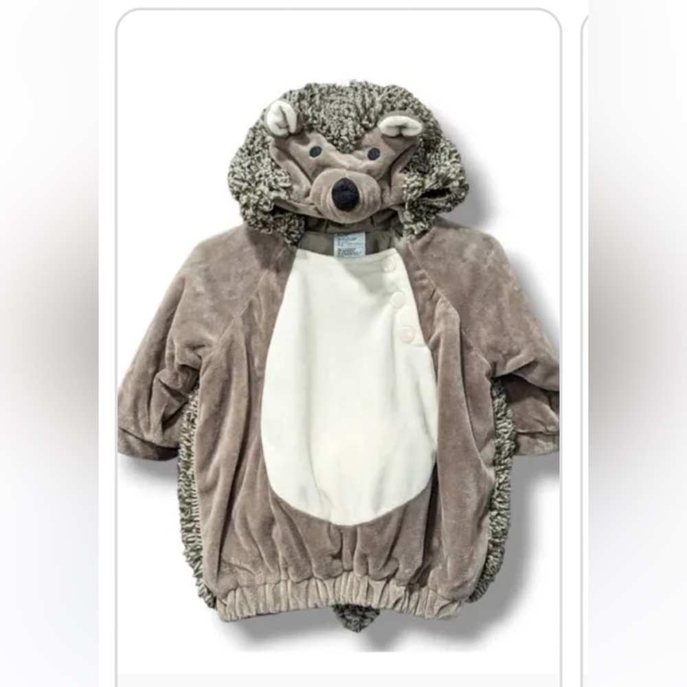 Halloween Hedgehog Costume